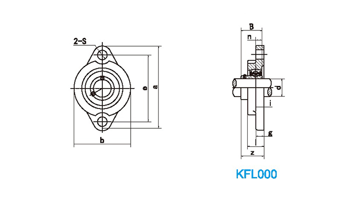 SS-KFL000 series 2 bolt flange bearing